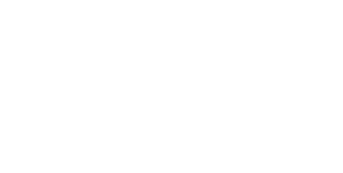 Scaffold Institue